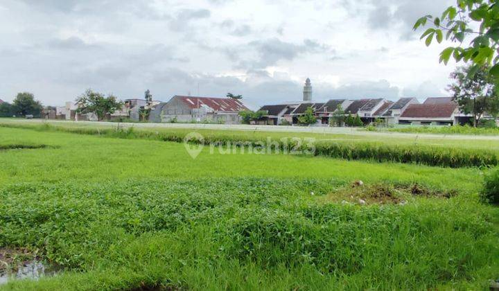 Tanah Luas Harga Murah Di Pandanwangi Tengah Kota Mlg Strategis 1