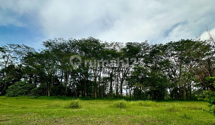 Depan Belakang Golf View Barang Langka Murah Tanah Araya Malang 2