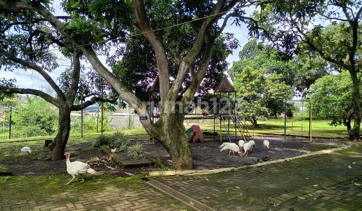 Villa Luas Dijual Di Lawang Kab Malang Siap Huni Dekat Akses Tol 2
