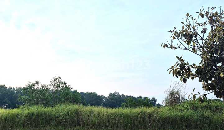 Sale of Delta Silicon 8 Plot 7336 Only 2.5 Million/m² Sale of Delta Silicon 8 Plot 7336 Only 2.5 Million/m²