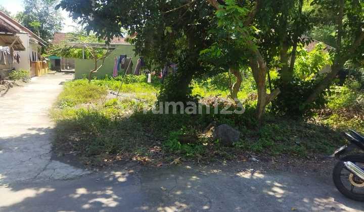 Rumah Murah 300 Jutaan Di Berbah Sleman, Bisa Kpr 8