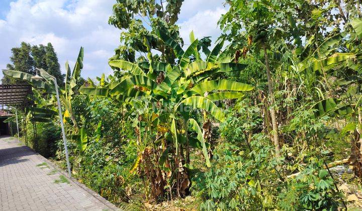 Tanah Luas Pinggir Jalan Bantul Dekat Kampus Isi 1