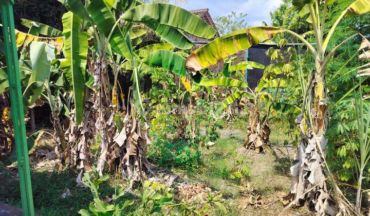 Tanah Luas Pinggir Jalan Bantul Dekat Kampus Isi Sewon Bantul 1