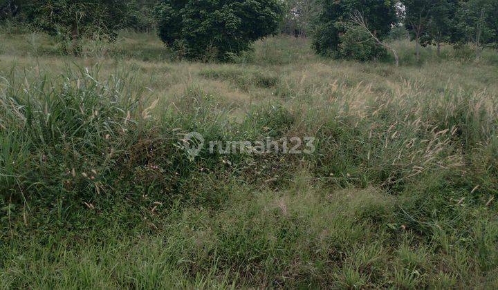 Di jual tanah perumahan murah jln utama damasraya sumatera barat 2