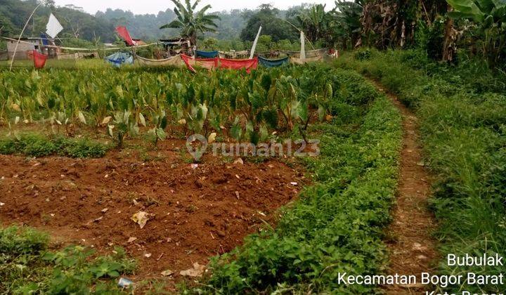 Jual Tanah Di Semplak Bogor Harga Per Meter Terbaru