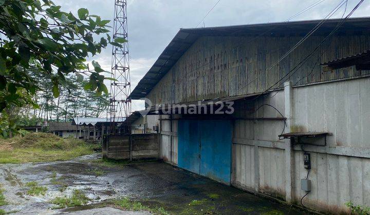 Gudang Bebas Banjir di Serang Banten Lokasi Sangat Strategis