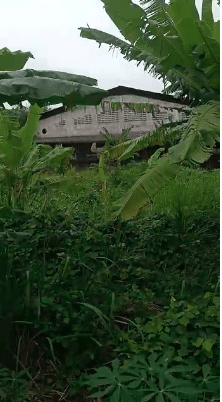 Tanah Siap Bangun di Jl. Perancis Dadap Tangerang 1