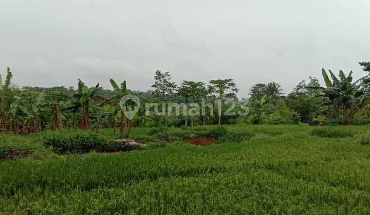 Dijual Tanah Berikut Gudang Di Daerah Cikande Serang Tangerang 3