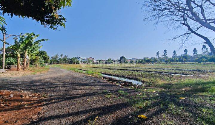 Tanah Lokasi Strategis Bisa Akses Container di Pinggir Jalan Raya Kampung Melayu, Teluk Naga, Tangerang 1