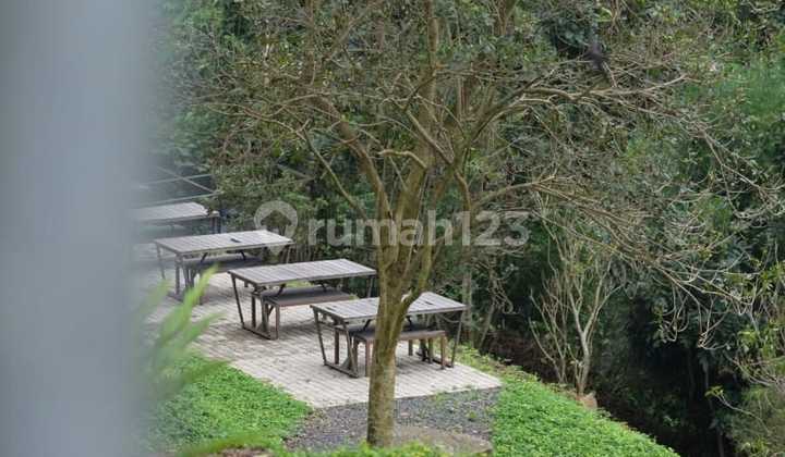 Ruang Usaha Ex Galery Seni, Cafe, Venue Outdoor Di Setiabudi Bandung Utara Ruang Usaha Ex Galery Seni, Cafe, Venue Outdoor Di Setiabudi Bandung Utara