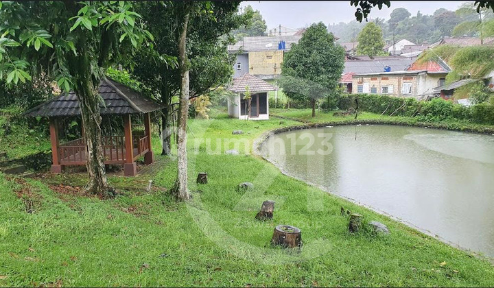 Cepat Tanah di Ciawi Bogor Untuk Villa Resort Outbond Dan Hotel 4