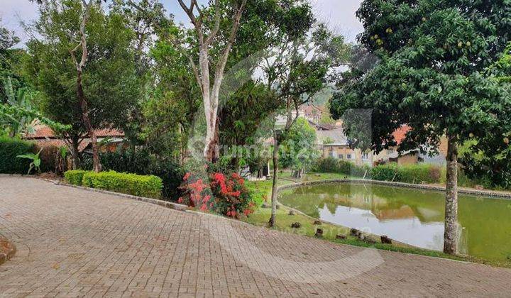 Cepat Tanah di Ciawi Bogor Untuk Villa Resort Outbond Dan Hotel 7