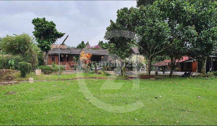 Cepat Tanah di Ciawi Bogor Untuk Villa Resort Outbond Dan Hotel 1