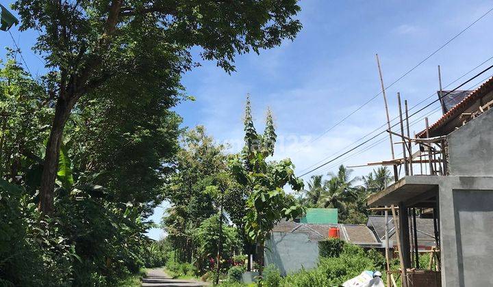 Tanah Kavling Murah Di Magelang, 4 Menit Candi Borobudur 5