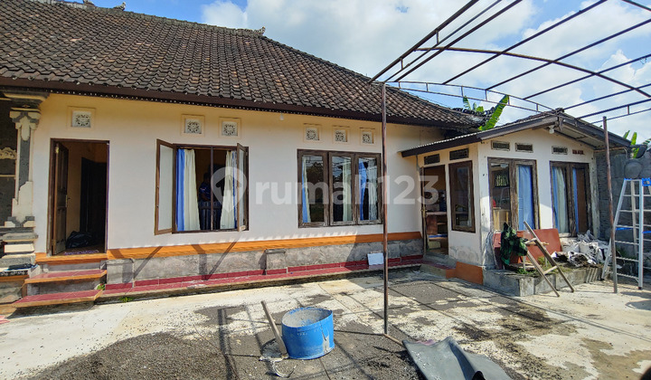 Dijual Murah, Rumah Tanah Luas, Di Meliling, Tabanan, Bali 9