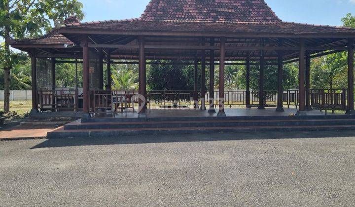 Dijual Rumah 2 Lantai, Tanah Super Luas Di Purworejo 3