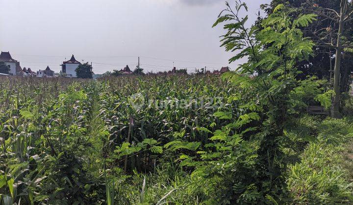 Tanah Luas Lokasi Di Prambanan Dekat Jalan Jogja Solo