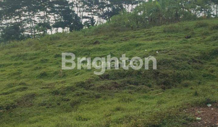 3 plots of land in Sembung Gede, Kerambitan, Tabanan 1