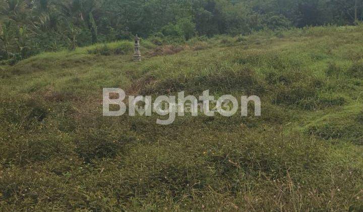 3 plots of land in Sembung Gede, Kerambitan, Tabanan 2