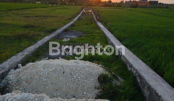 Land plot special villa steps to Seseh Beach suitable 1