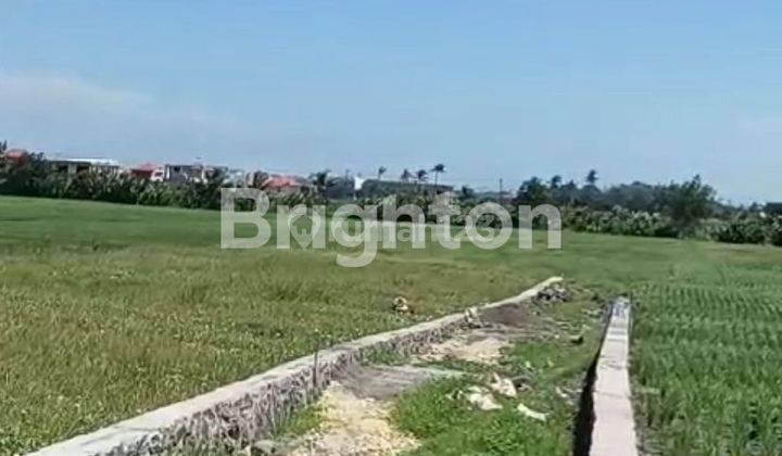 Land plot special villa steps to Seseh Beach suitable 2