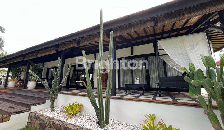 villa one gate view river and forest in Canggu 2