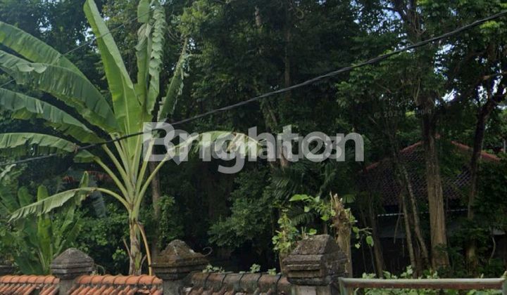 TANAH NGANTONG DEKAT MCD JIMBARAN
