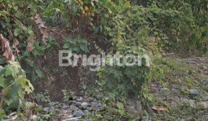 Tanah 2 are di Area Pemukiman di Desa Cepaka Tabanan Bali Tanah 2 are di Area Pemukiman di Desa Cepaka Tabanan Bali