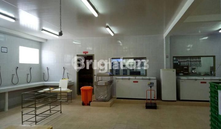 Warehouse for Frozen Business in Kedonganan Jimbaran Warehouse for Frozen Business in Kedonganan Jimbaran