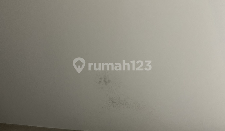 2-Story Shop House in Sidakarya, Strategic and Busy Area, Ready to Use 2-Story Shop House in Sidakarya, Strategic and Busy Area, Ready to Use