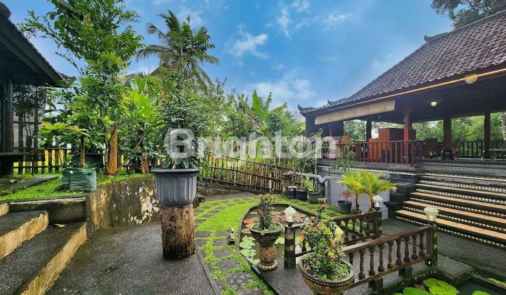 Private Villa with River View, Mountain and Rice Fields in Tabanan Private Villa with River View, Mountain and Rice Fields in Tabanan