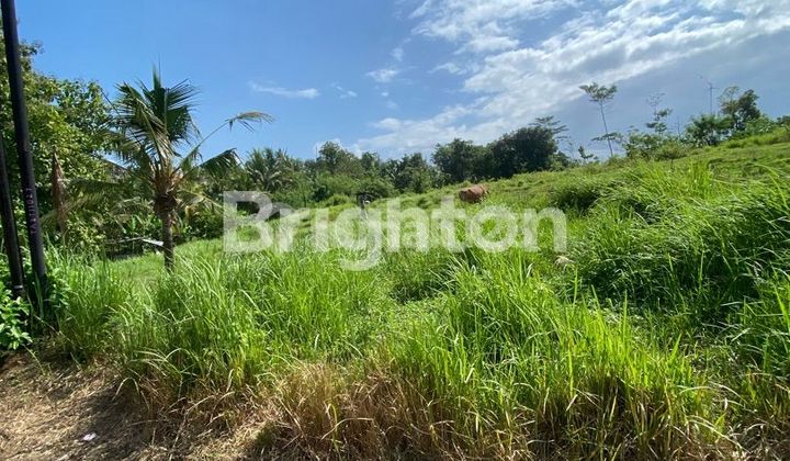 3 plots of land in Sembung Gede Housing, Kerambitan, Tabanan. 3 plots of land in Sembung Gede Housing, Kerambitan, Tabanan.