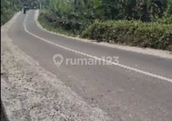 Tanah Memanjang Di Sembunggede Tabanan 