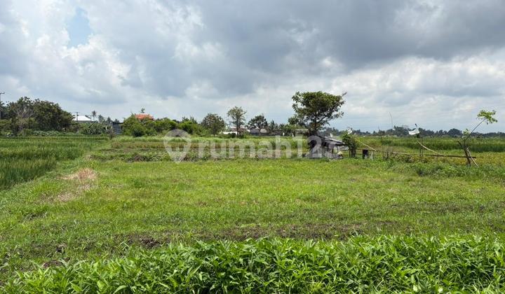 Tanah Zona Kuning All In Terima Shm Di Penarungan Mengwi Beli Bulan Ini Ada Bonus Tanah Zona Kuning All In Terima Shm Di Penarungan Mengwi Beli Bulan Ini Ada Bonus