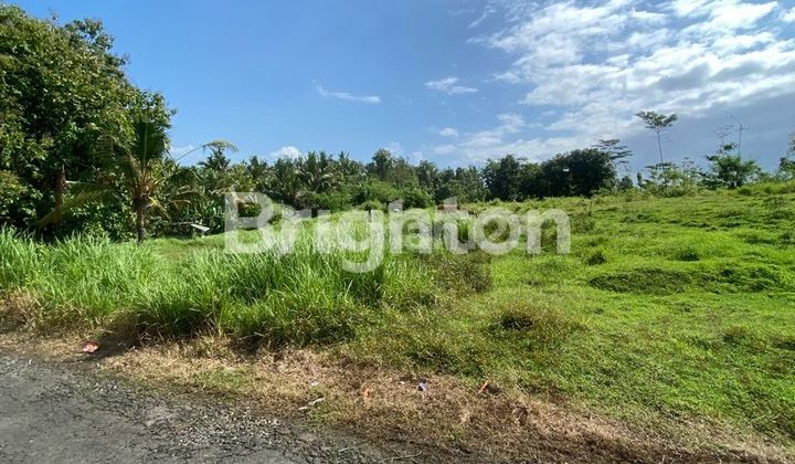 3 plots of land in Sembung Gede Housing, Kerambitan, Tabanan. 3 plots of land in Sembung Gede Housing, Kerambitan, Tabanan.