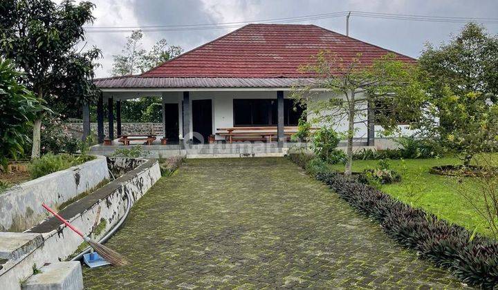 Subang jl serang panjang LAY 1