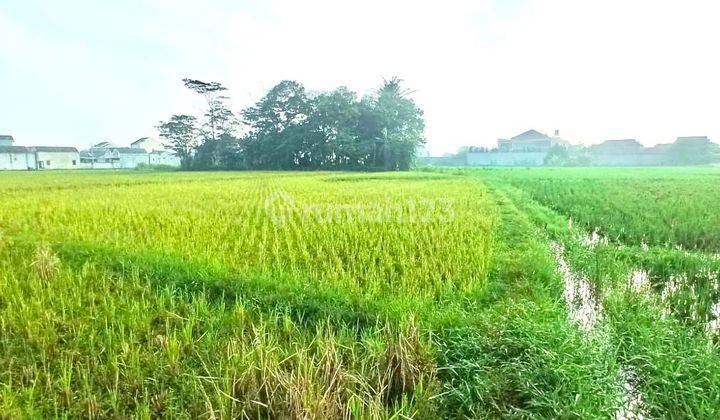 Nego Sampe Jadi Lahan Area Perumahan Cikoneng Bojongsoang Die 1