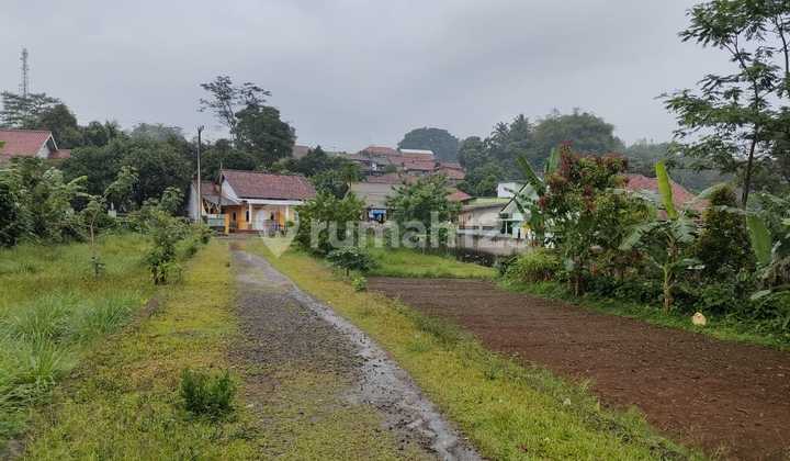 DIJUAL TANAH JALAN CAGAK BELAKANG ALUN ALUN SUBANG DEKAT DENGAN ALUN ALUN KABUPATEN SUBANG KAWASAN BEBAS BANJIR DAN KONTUR TANAHNYA RATA