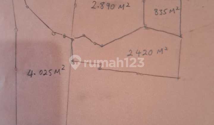 LAND 1.3 Ha PLUS 3 TERRACE SHOP HOUSES NEAR SUMMARECON BITUNG TANGERANG LAND 1.3 Ha PLUS 3 TERRACE SHOP HOUSES NEAR SUMMARECON BITUNG TANGERANG