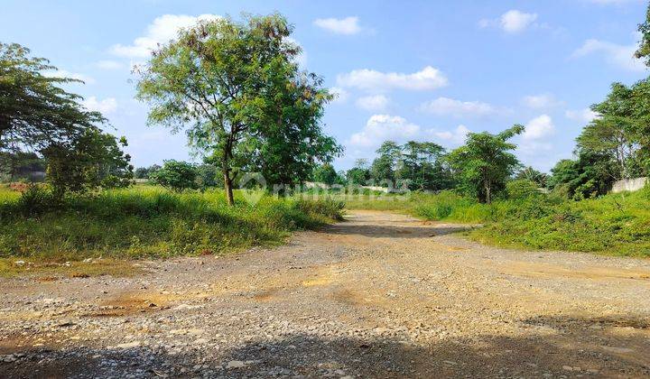 Lahan Premium 12.5 Ha Pinggir Jalan Raya Legok 2