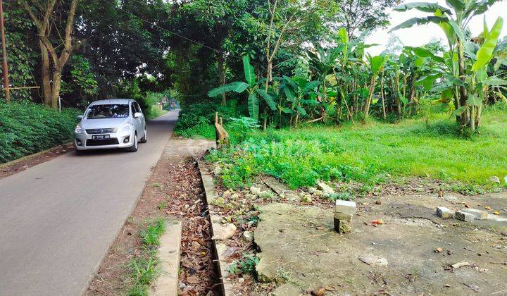 Jual Murah Harga Bu Tanah 3000 M2 Palasari Legok 2