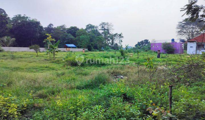 Jual Murah Harga Bu Tanah 3000 M2 Palasari Legok 2