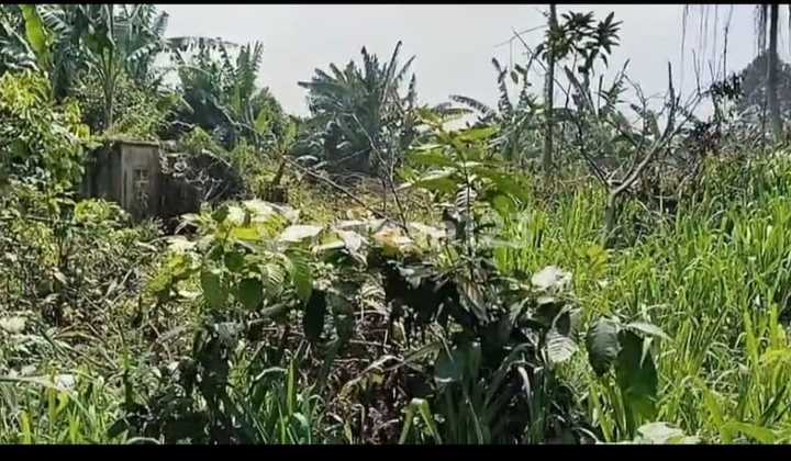 FOR SALE 500 m2 LAND ON LEGOK MAIN ROAD