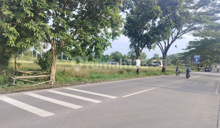 Zona Industri 10 Ha Tiga Raksa Zona Industri 10 Ha Tiga Raksa