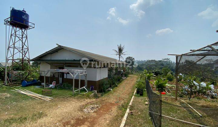 Jual Cepat Tanah Luas Cocok Untuk Perumahan, Usaha, Perkebunan 1
