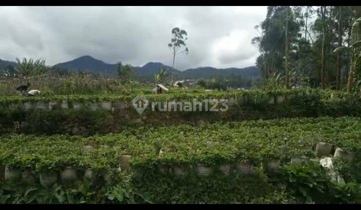 Jual Tanah Kavling Ciater Cocok Untuk Kebun Rumah Harga Murah 2