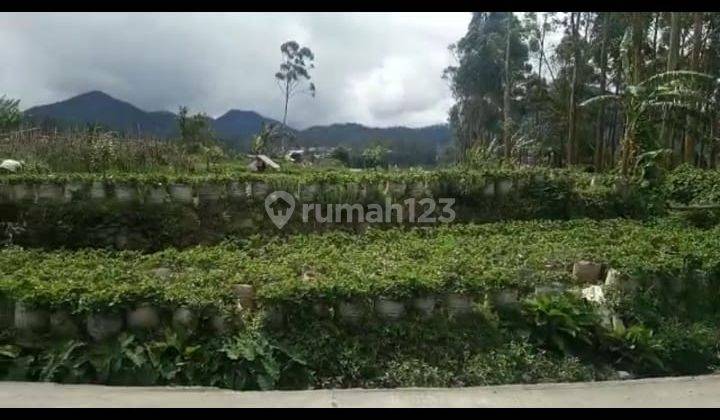 Jual Tanah Kavling Ciater Cocok Untuk Kebun Rumah Harga Murah 1