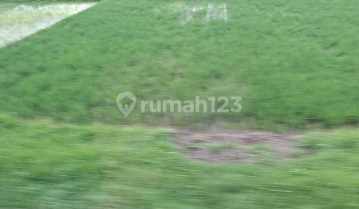 tanah strategis cocok untuk usaha Pasteur Bandung Utara harga nego