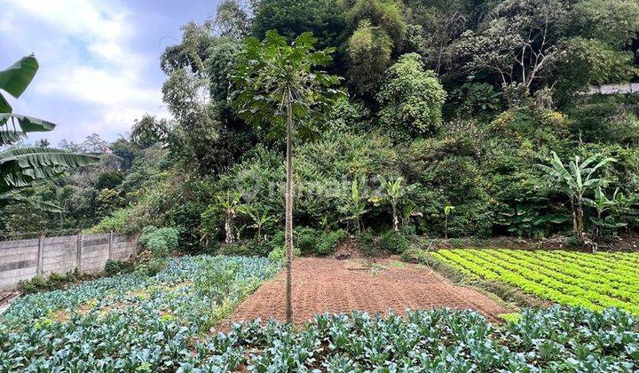 Jual Murah Tanah Ciwaruga View Lembah Bandung Utara 1