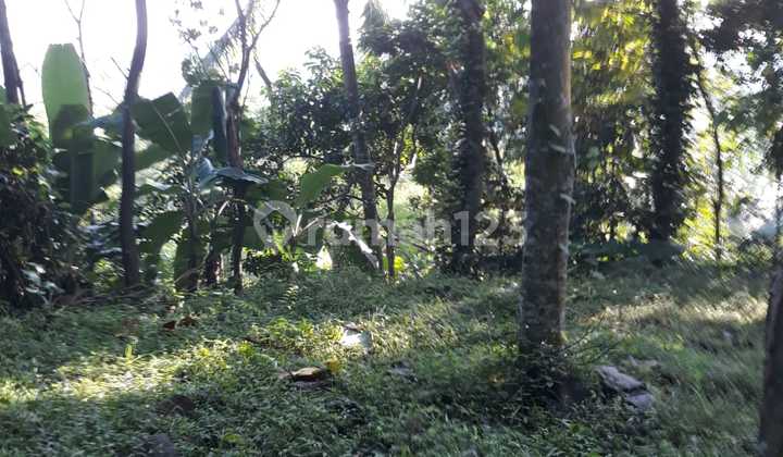 Paling Murah Tanah Purwakarta Bandung